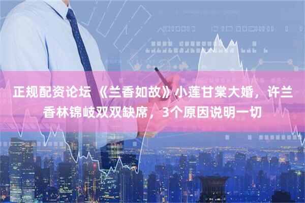正规配资论坛 《兰香如故》小莲甘棠大婚，许兰香林锦岐双双缺席，3个原因说明一切